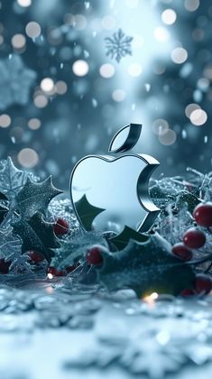 Apple Frosty Winter iPhone Wallpaper  iPhone Wallpapers