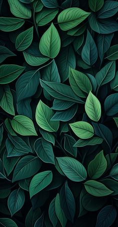 Green Leaves Foliage iPhone Wallpaper