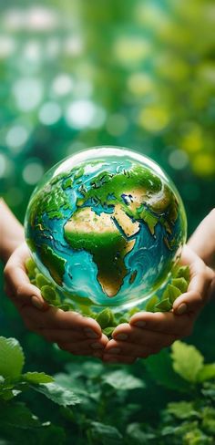 Green Earth iPhone Wallpapers