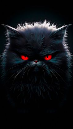 Evil Cat iPhone Wallpapers