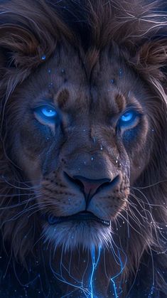 The Lion By savage_tygerz iPhone Wallpaper HD