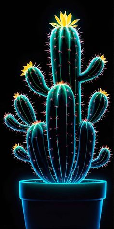 Cactus Plant Amoled iPhone Wallpaper HD