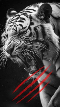 Tiger Beast