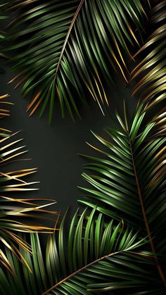 Green Indoor Plants