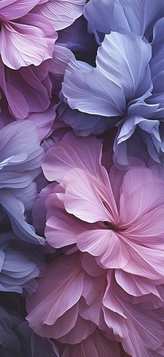 Flowers iPhone 16 Pro Max Wallpaper