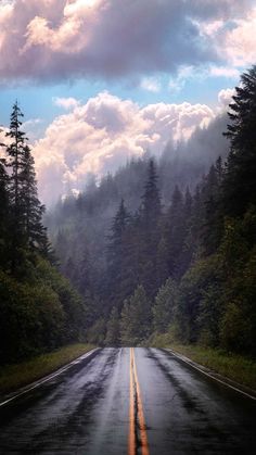 Morning Mist Road