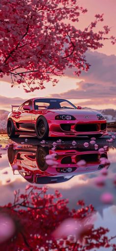 Toyota Supra Tokyo Wallpaper