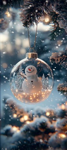 Snowman in Glass Wallpaper