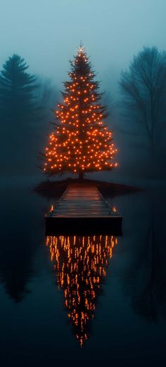 Christmas Tree in Dark iPhone Wallpaper